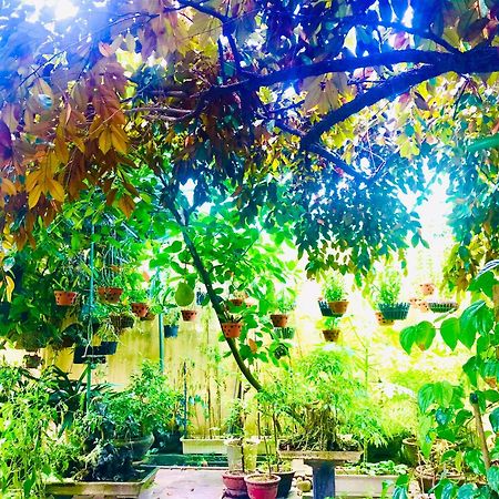 Pebble Homestay Hội An Kültér fotó