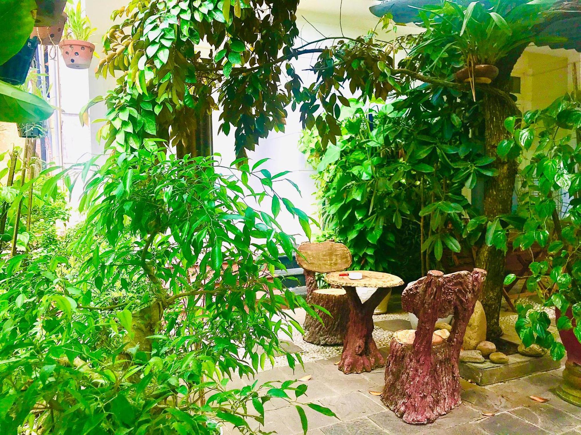 Pebble Homestay Hội An Kültér fotó